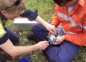 Fauna Monitoring- Stockland